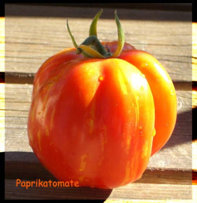 Paprikatomate_Kopie.jpg