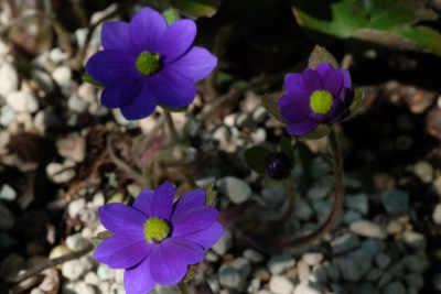 DSCF4172_5423.JPG