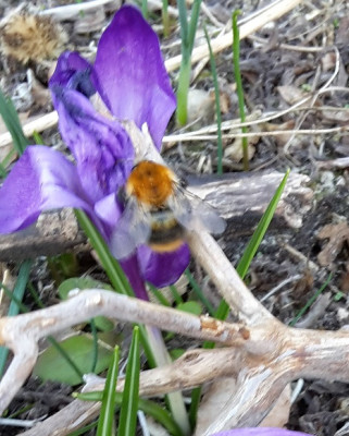 20210330_181129.jpg