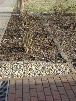 Trier_GST_2_n_Schn_24.02.21.JPG