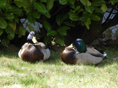 DSCN5059.JPG