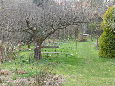 2021-04-01 Garteneinblick 2.jpg