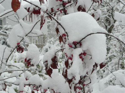 15.11.2007.10.JPG