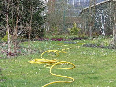 2021-04-02 Garteneinblick 1.jpg