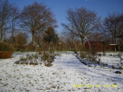 DSCI0003.JPG