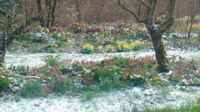 2021-04-05 Garteneinblick 7.jpg