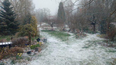 2021-04-05 Garteneinblick 3.jpg