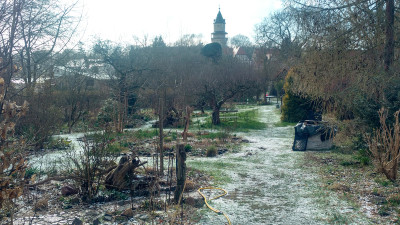 2021-04-05 Garteneinblick 6.jpg