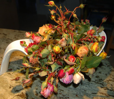 Rosenpotbourri_DSC_9184.jpg