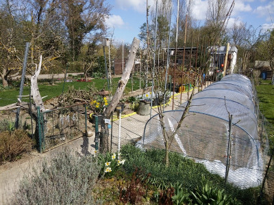 Garten 210403.jpg