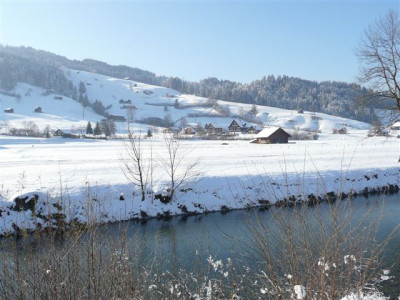 18.11.2007.6.JPG