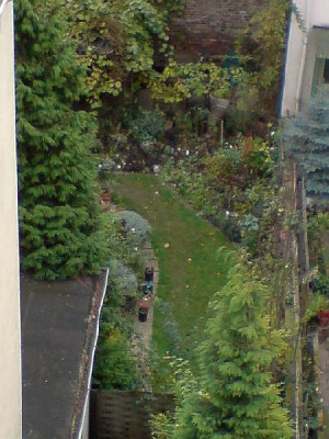 novembergarten_1.jpg