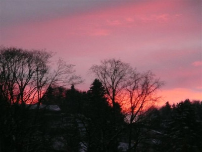 20.11.2007.2.JPG