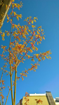 WP_20210409_07_43_58_Pro.jpg