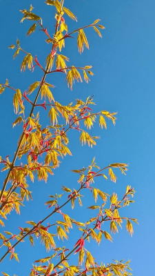 WP_20210409_07_44_22_Pro.jpg