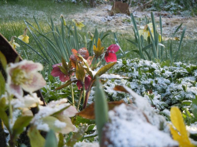 DSCN0724.JPG