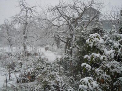 DSCN0727.JPG