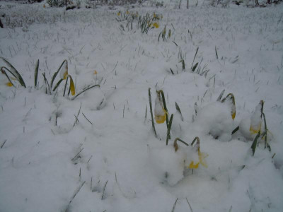 DSCN0735.JPG