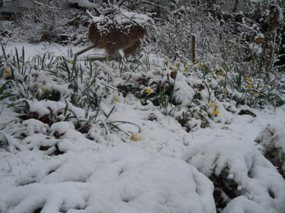 DSCN0737.JPG