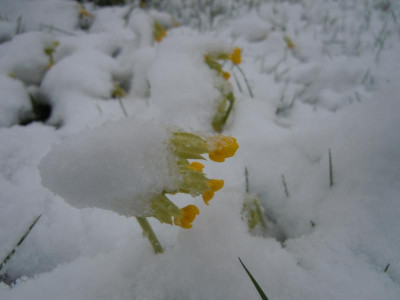 DSCN0734.JPG