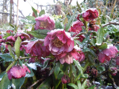 DSCN0718.JPG