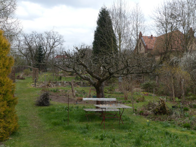 2021-04-09 Garteneinblick 2.jpg