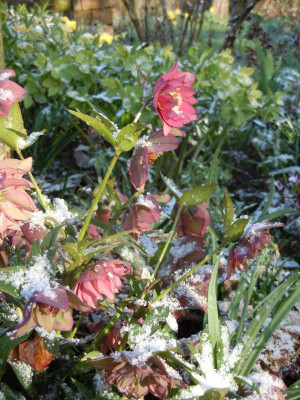 DSCN0721.JPG