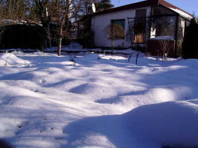 Garten-pur_011.jpg
