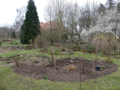 2021-04-10 Garteneinblick 5.jpg
