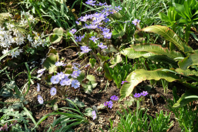 DSCF4256_5445.JPG