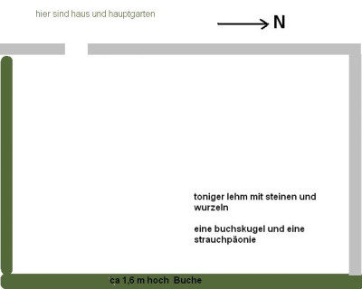 bernerrrose.JPG