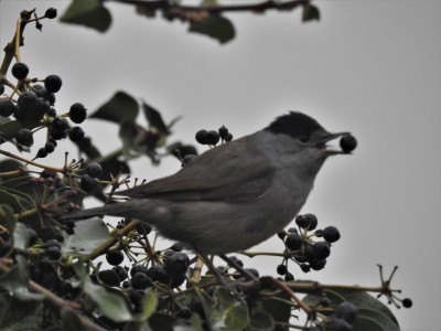 DSCN3098.JPG