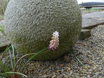 P1110331.JPG