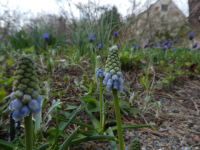 P1110343.JPG
