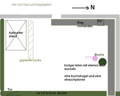 bernerrrose2.JPG
