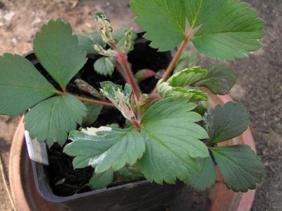 P1010078.JPG
