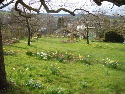 DSCN0762.JPG