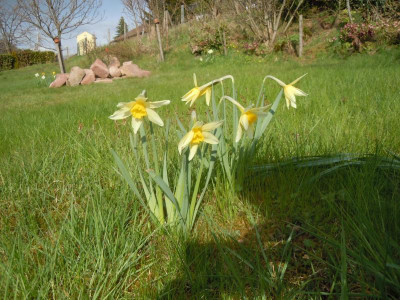 DSCN0761.JPG