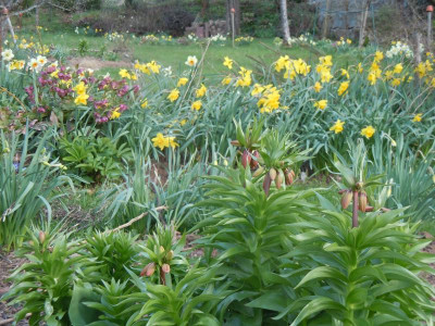 DSCN0749.JPG