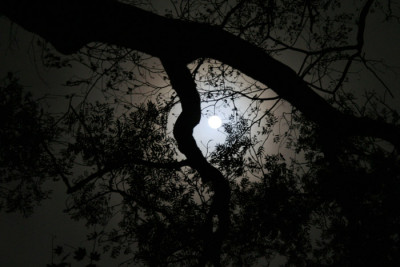 Vollmond-1.jpg