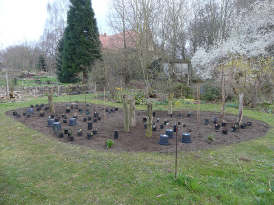 2021-04-17 Garteneinblick 11.jpg