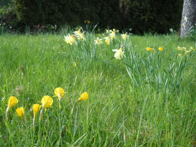 DSCN0756.JPG