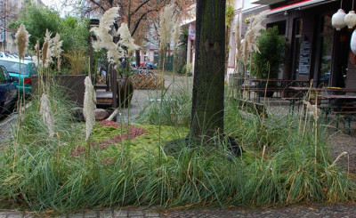 StadtGras.jpg