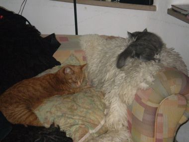 Bild_022.jpg