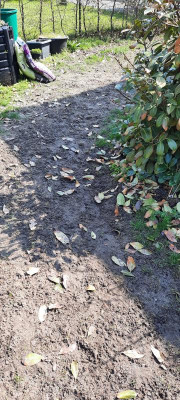 20210420_115313.jpg