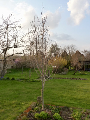 tg_210420_4.jpg