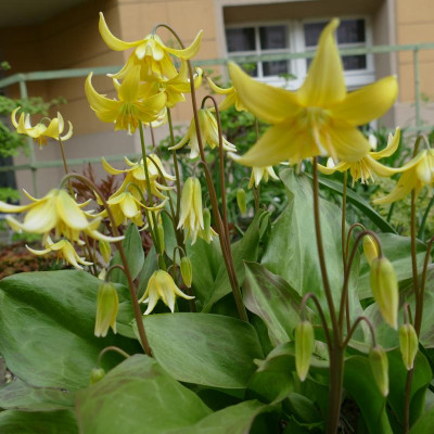 P1100631.JPG