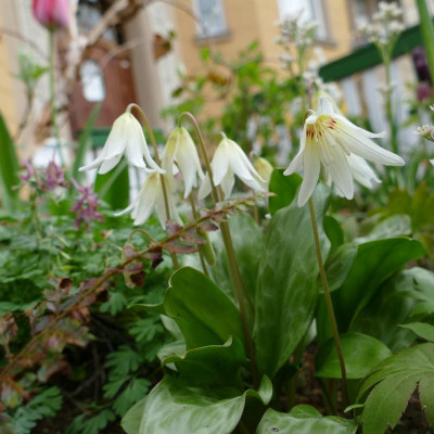 P1100633.JPG
