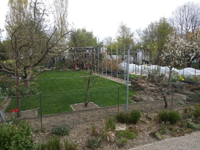 Garten210418.jpg