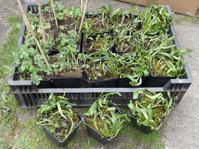 2021-04-22 Teske.jpg